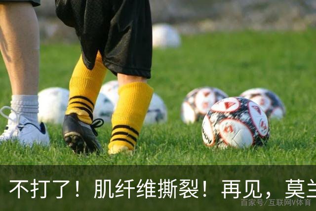 不打了！肌纤维撕裂！再见，莫兰特