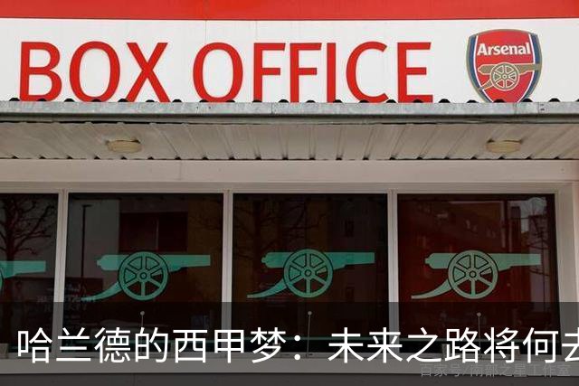 哈兰德的西甲梦：未来之路将何去何从？