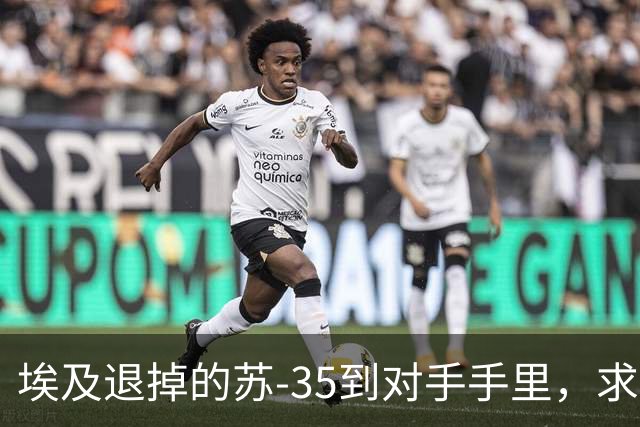 埃及退掉的苏-35到对手手里，求锤得锤，歼-10C成唯一解药