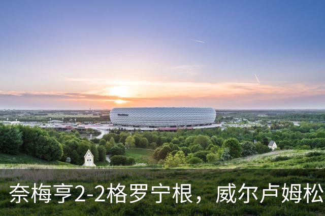 奈梅亨2-2格罗宁根，威尔卢姆松双响，勒布雷顿扳平