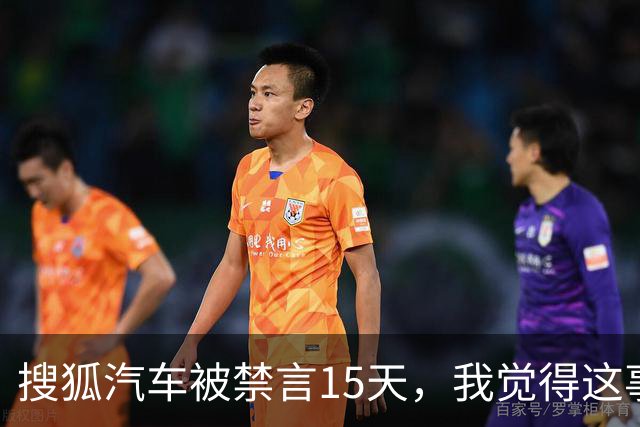 搜狐汽车被禁言15天，我觉得这事儿真没那么简单