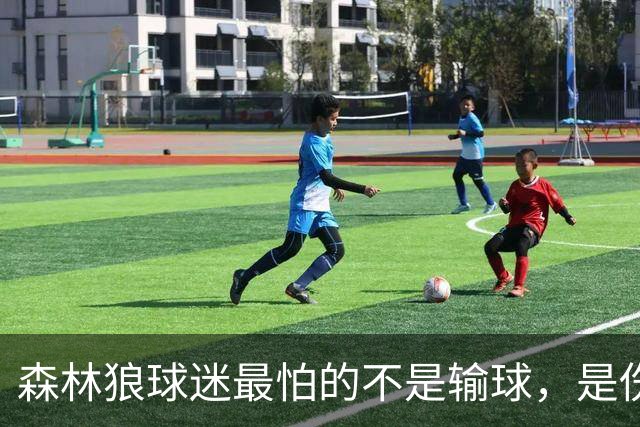 森林狼球迷最怕的不是输球，是伤病：一次投票投出了真心话
