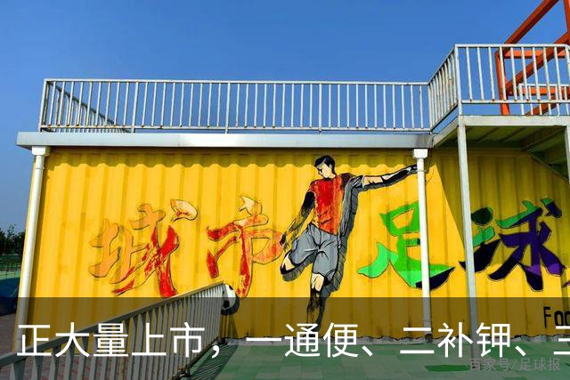 正大量上市，一通便、二补钾、三控糖、四护血管，建议大家多吃。