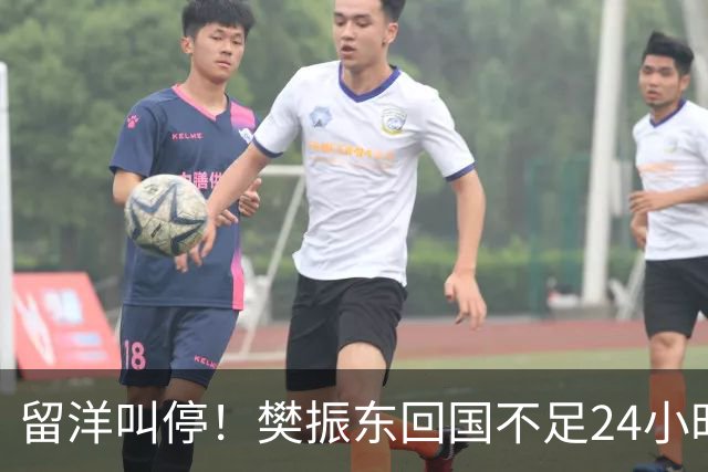留洋叫停！樊振东回国不足24小时，官宣新身份，总算盼来这一天