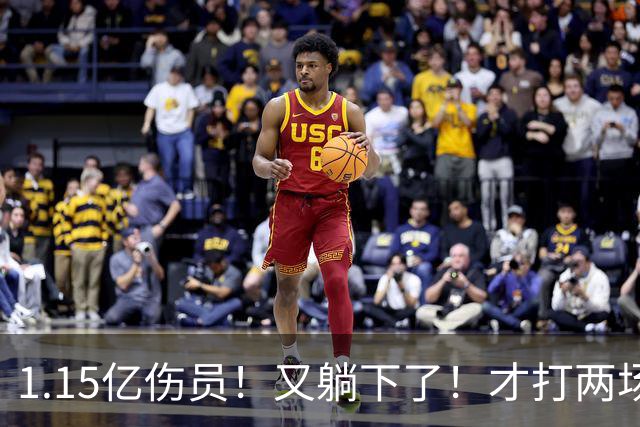 1.15亿伤员！又躺下了！才打两场！猛龙赌输了吗？