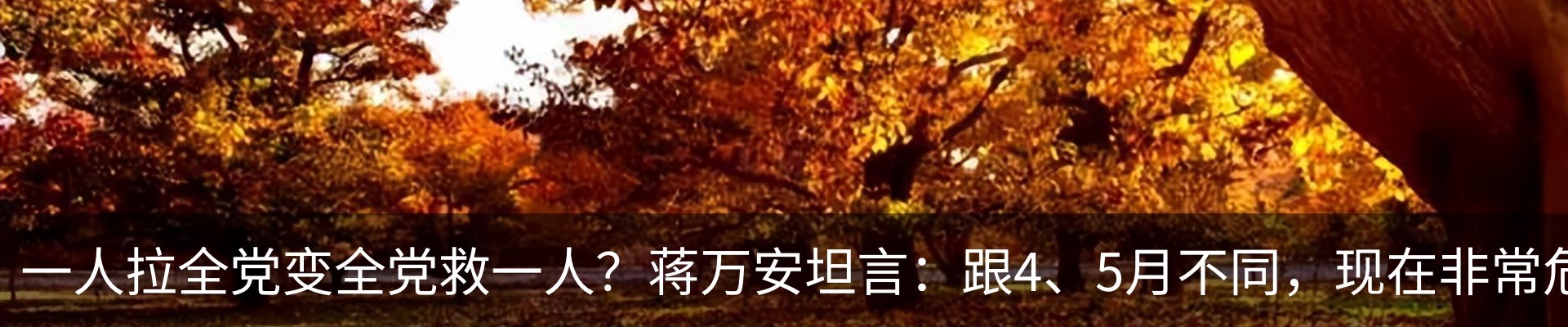 行业资讯