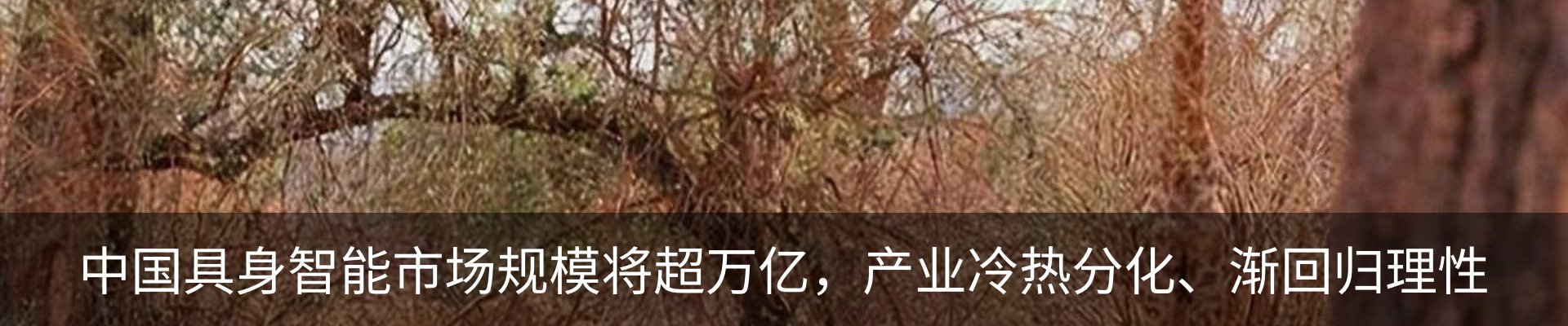 行业资讯