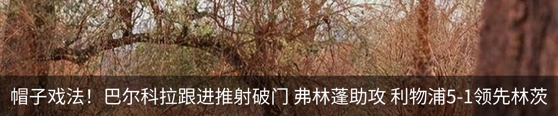 行业资讯