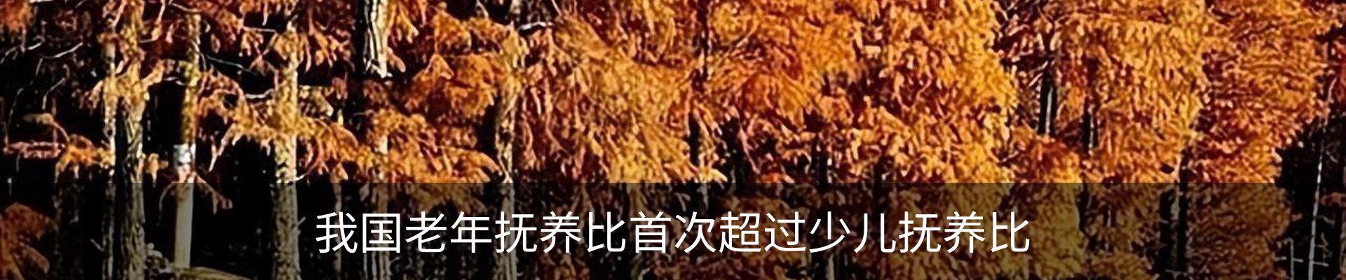 行业资讯