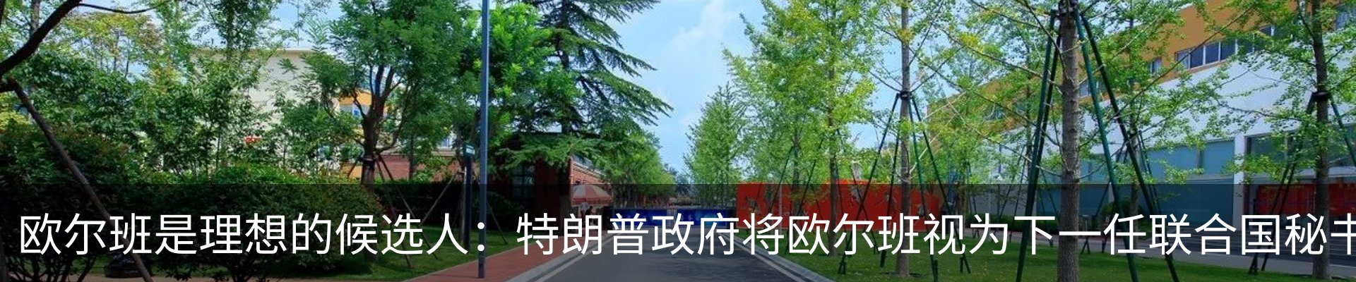 行业资讯