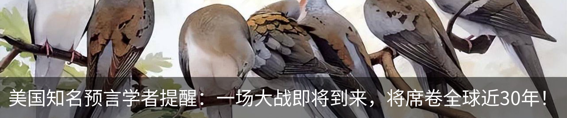 行业资讯