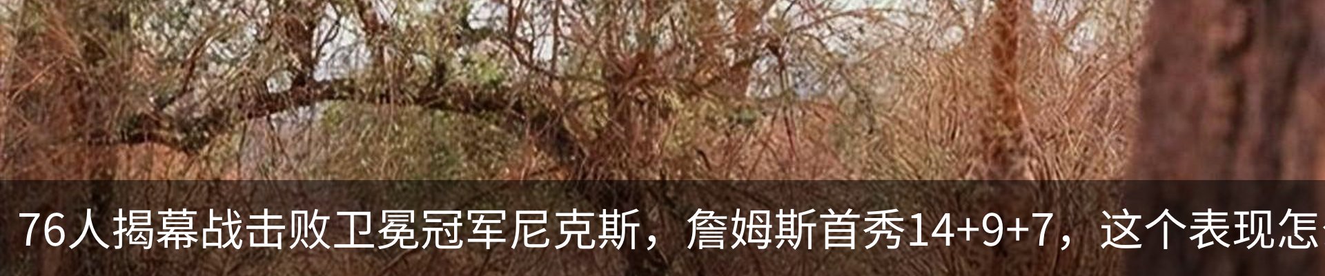 行业资讯