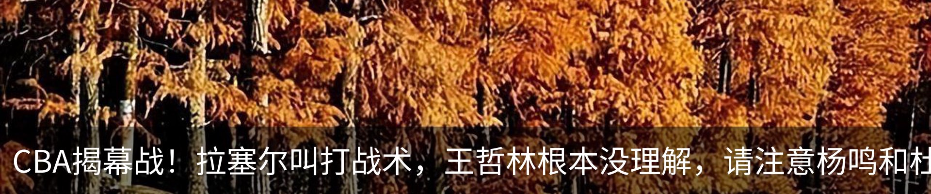 行业资讯